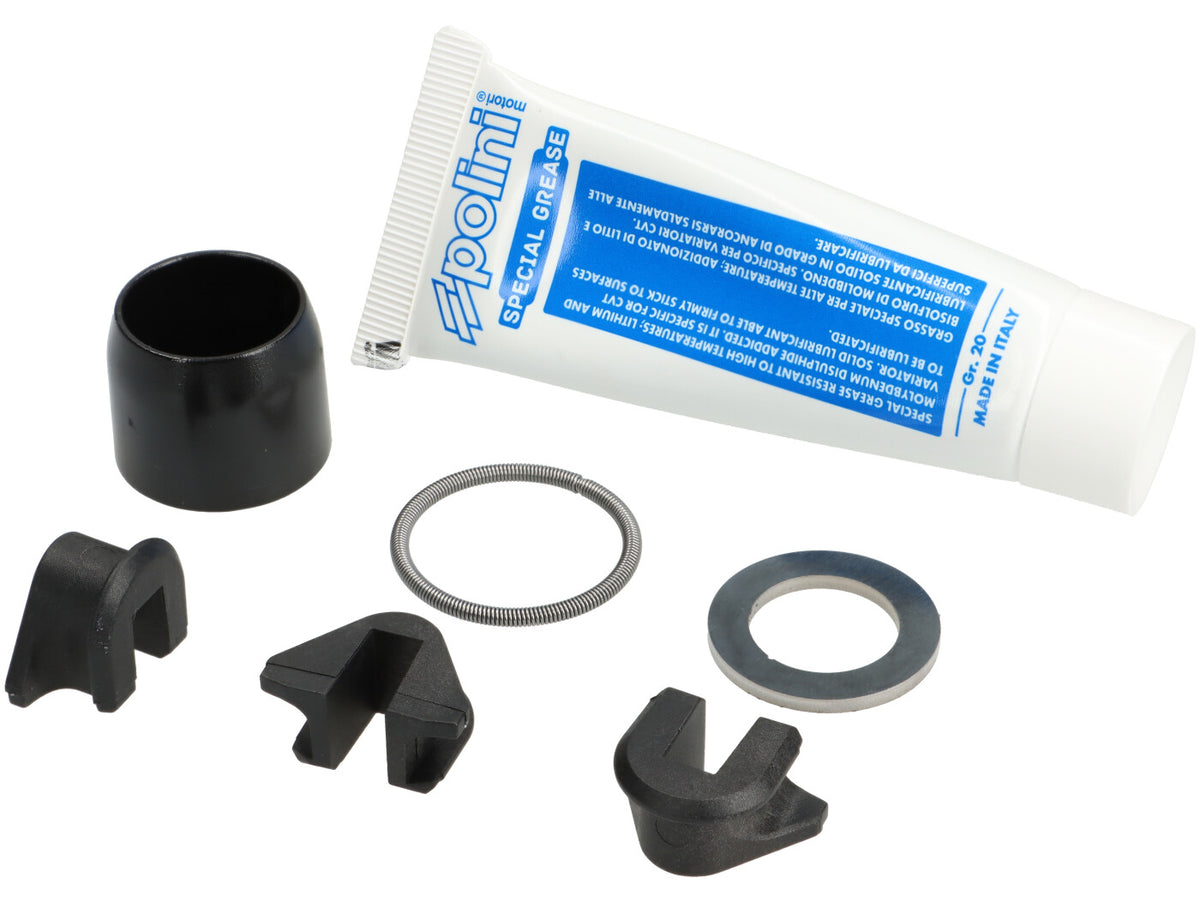 Vespa Primavera 125 Sprint 125 Piaggio Liberty 125-150 POLINI Evolution Hi-Speed Variator Kit