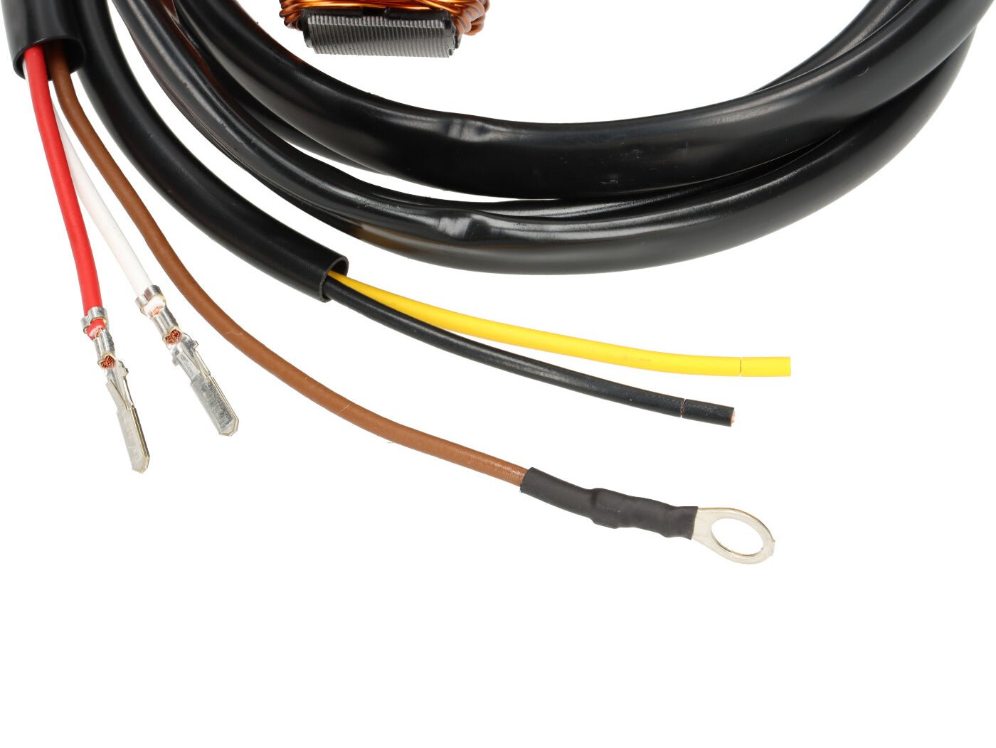 J50 J100 J125 Lui Luna Vega Cometa Cento Starstream 12V AC VAPE Electronic Kit