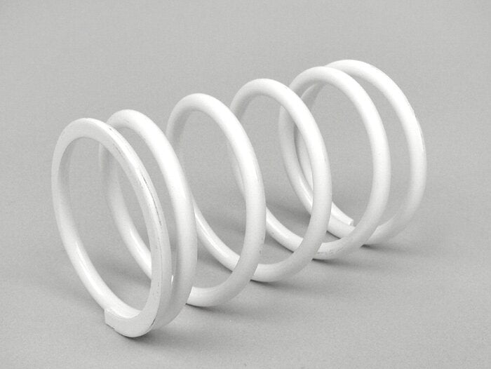 Variator Spring Malossi Reinforced 125 SR, DNA, GT