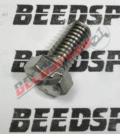 Lambretta - Flywheel - Cowling - Slotted Screw - M5x10mm - S/S