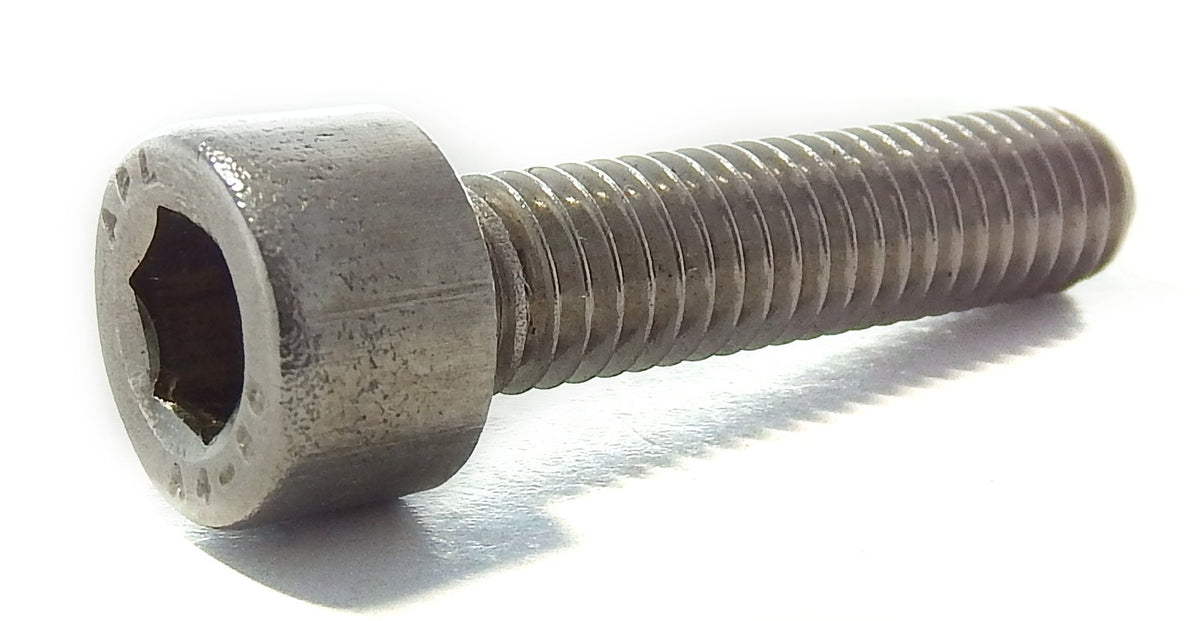 Allen Screw M6 x 20mm Stainless