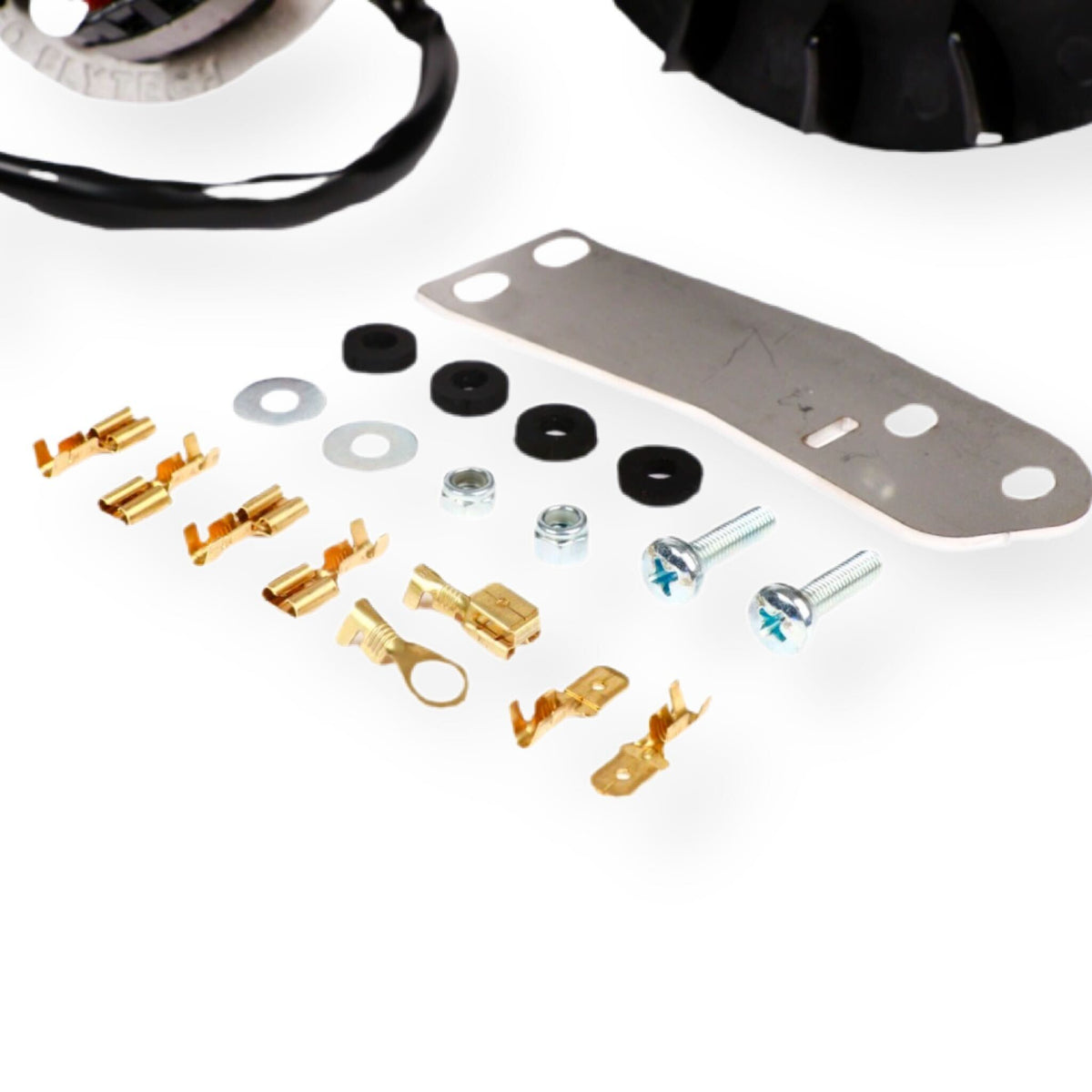 Vespa PINASCO 251cc Flytech Ignition Kit 1400g