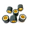 Automatic Variator Roller Weights*
