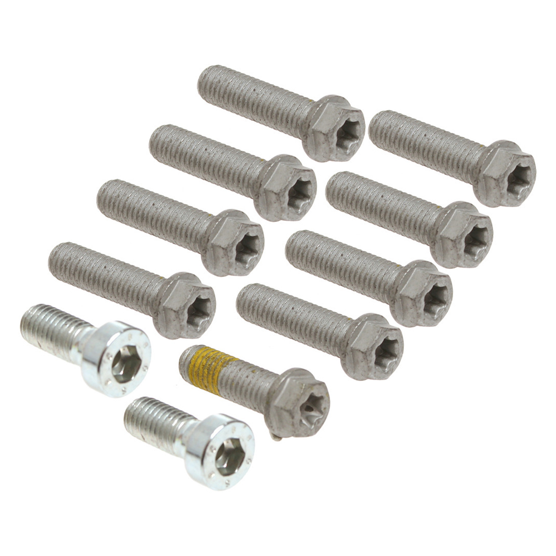 XTRIG Steering Stem Bolt Set M8 Incl 2 Stem Bolts (11pcs)