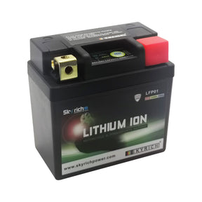 SkyRich Lithium Ion 12V 2Ah Battery LFP01