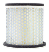 MTX Air Filter (OE Replacement) for Yamaha Models - #MTXARF212