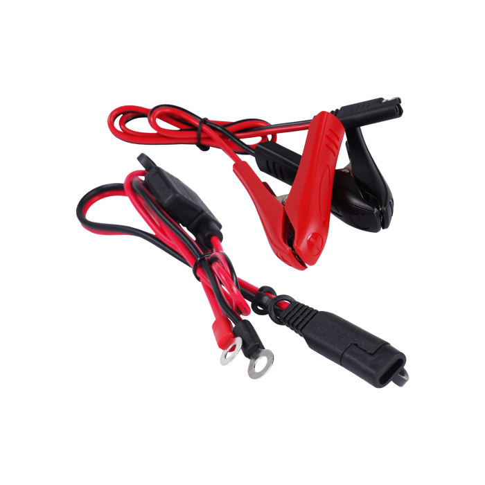 Bike It Guardian Pro 2 Intelligent Lithium Battery Charger and Maintainer 6/12V 1.25A