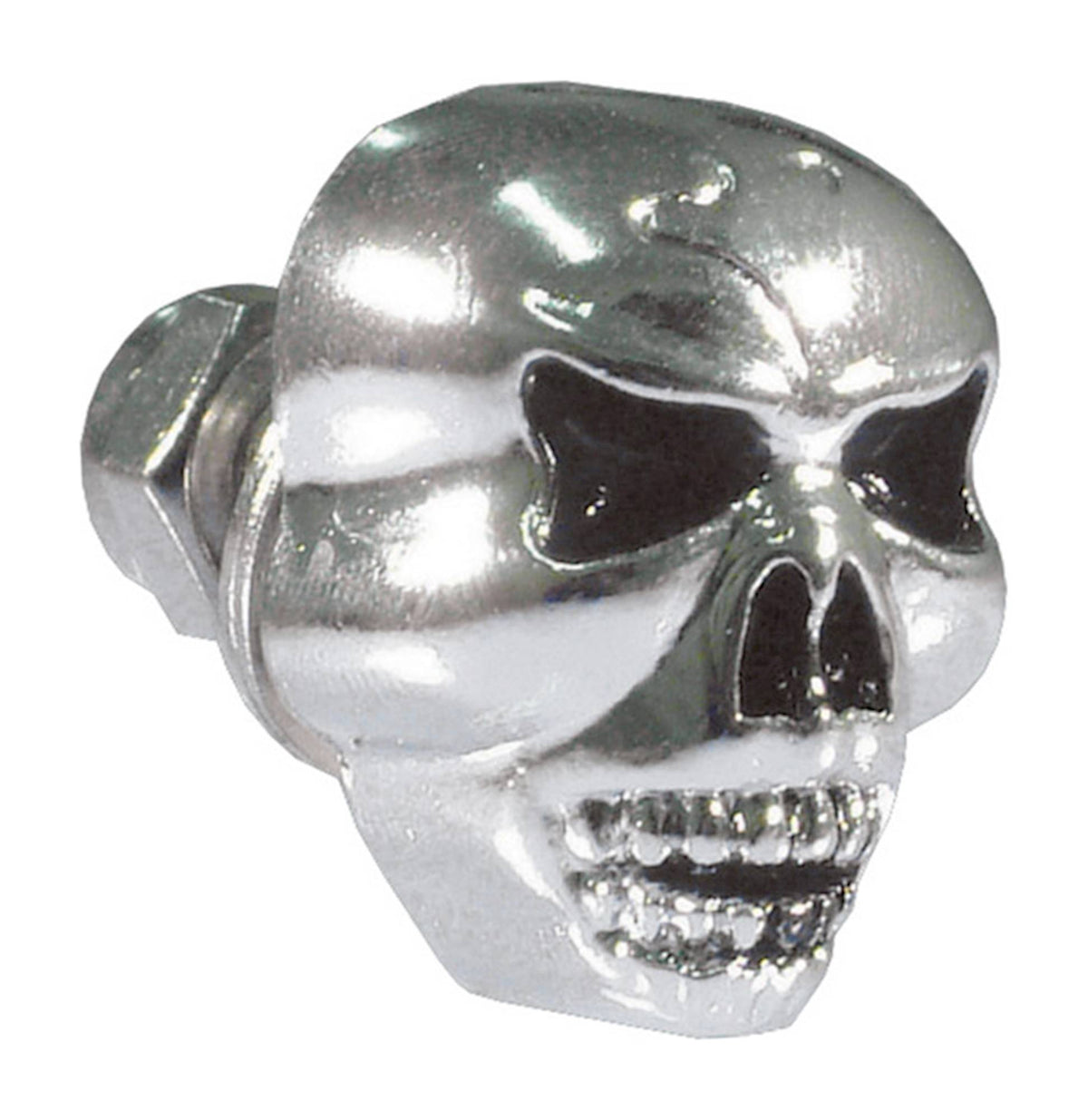 Bike It Chrome Skull Design Motorcycle Bolt Single Piece