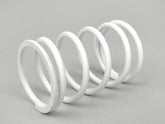 Variator Spring Malossi Reinforced 125 SR, DNA, GT