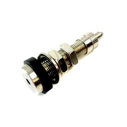 Tyre Tubeless Valve - Straight - 8mm - With Locking Nut - Chrome