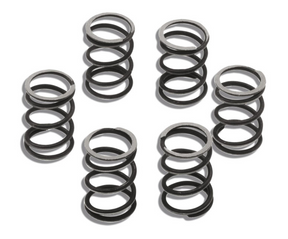 Vespa PX200 P200E T5 Rally200 MALOSSI Race Clutch Springs