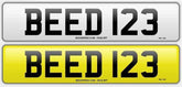 Numberplate - Car - Front And Rear - 20.5x4.4 + Logo